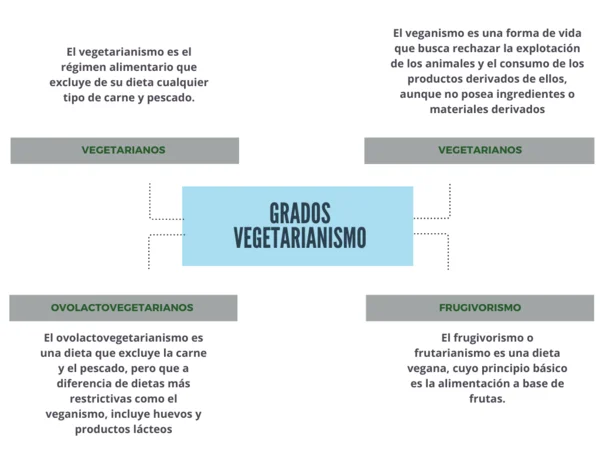 Studia la nutrizione vegetariana